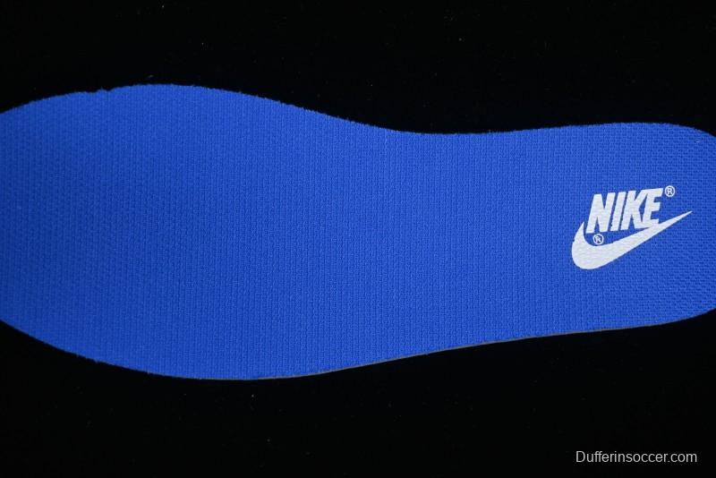 Nike Dunk Low Winter is Here Minimalist White Blue SB Lace-Up Low-Top Casual Skate Shoes - DV0831-104