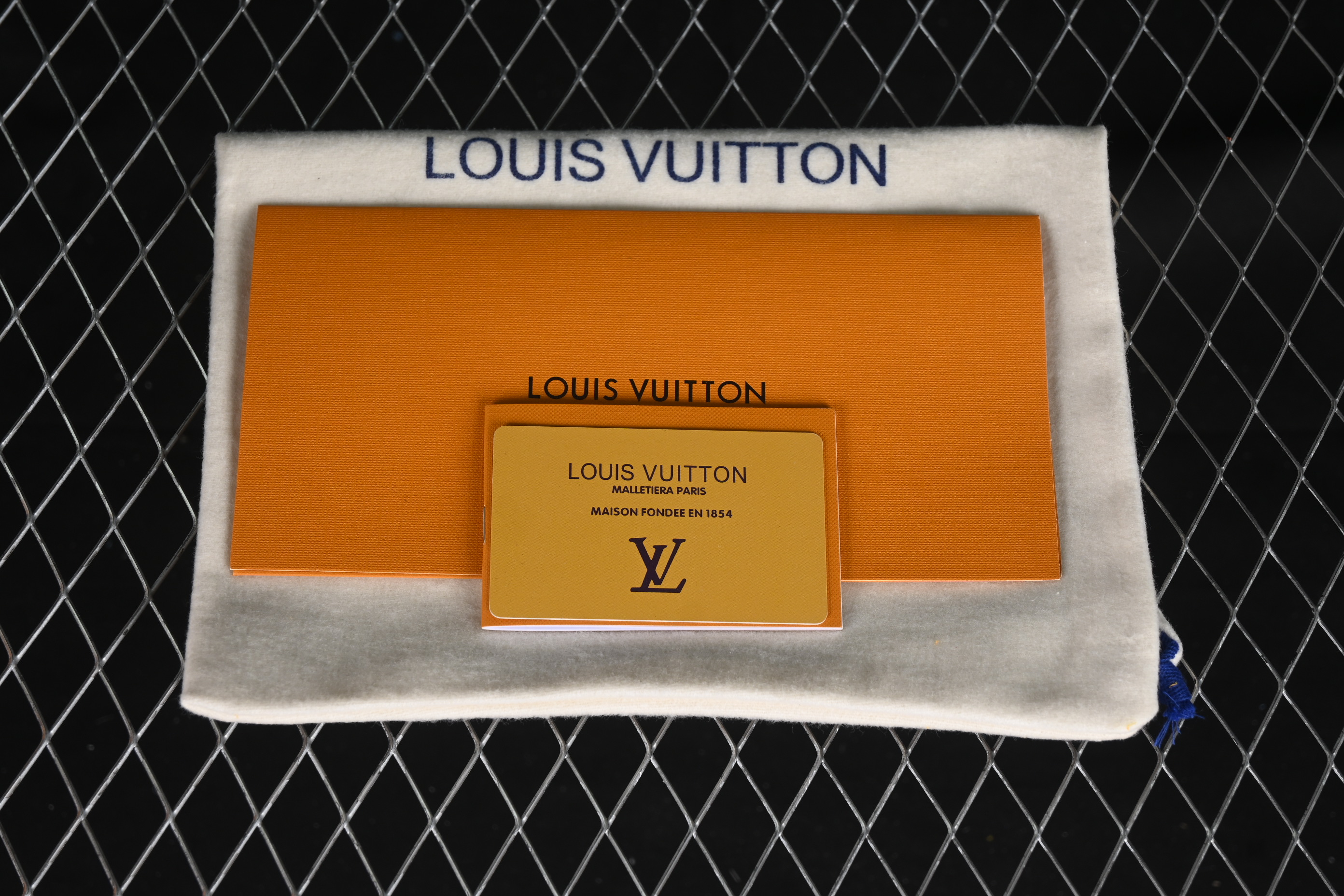 Louis Vuitton Footprint Soccer Low-Top Lifestyle Casual Shoes Round Toe Lace-Up - AJF6