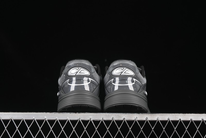 Dior B30 CD Sneakers - AJE5